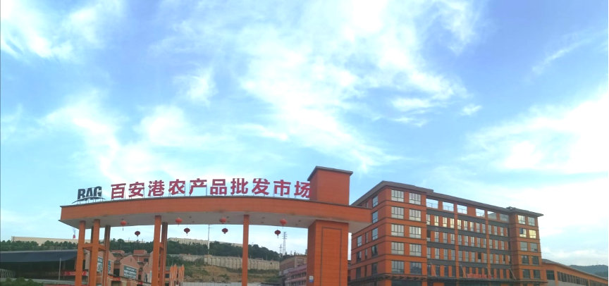百安港助力三峽庫(kù)區(qū)優(yōu)質(zhì)農(nóng)產(chǎn)品遠(yuǎn)銷 集散樞紐中心趨勢(shì)逐步形成