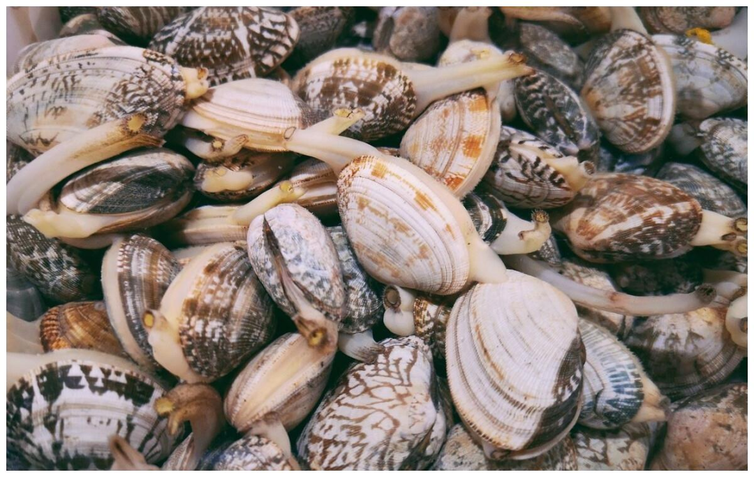 海鮮福利大放送，萬州的朋友們趕緊來，99竟可以買這些......