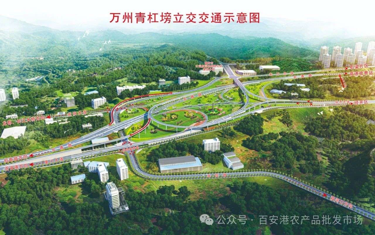 2月1日青杠塝立交通車?yán)?，出收費(fèi)站后直達(dá)百安港農(nóng)產(chǎn)品批發(fā)市場(chǎng)！