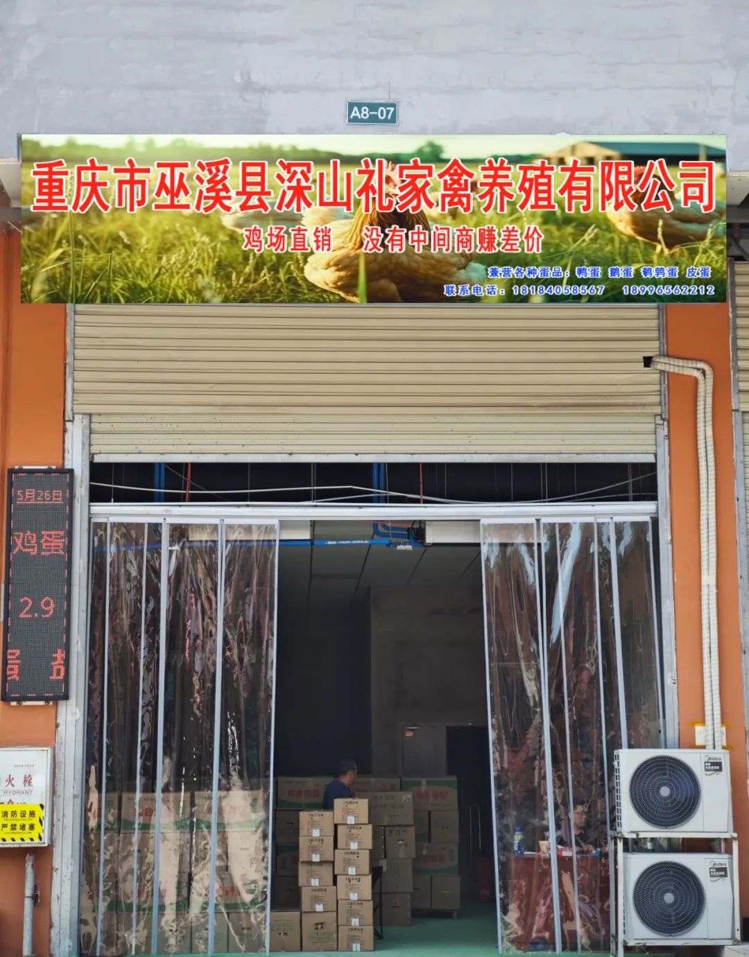 喜報 | 重慶市巫溪縣深山禮家禽養(yǎng)殖有限公司入駐百安港農產品批發(fā)市場